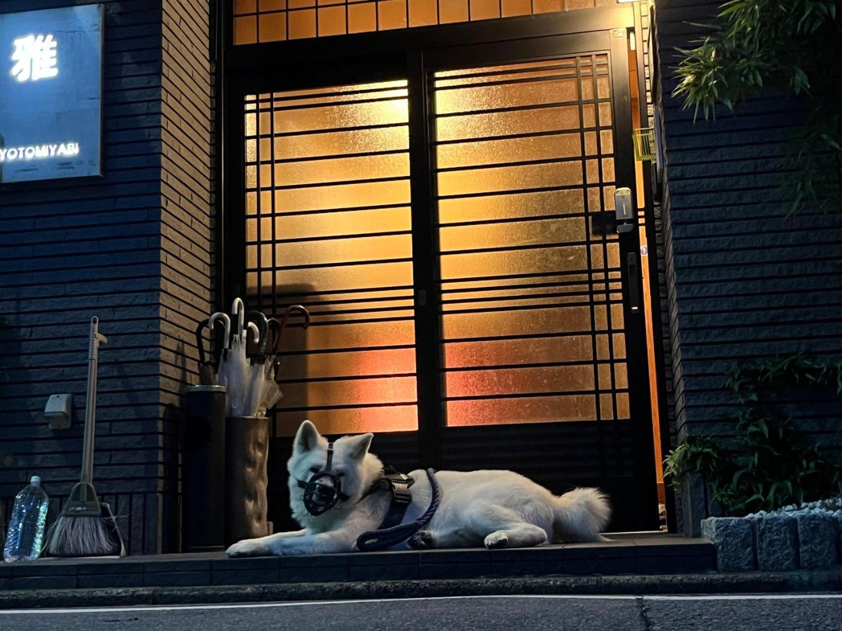 雅 Hotel Kyoto Buitenkant foto